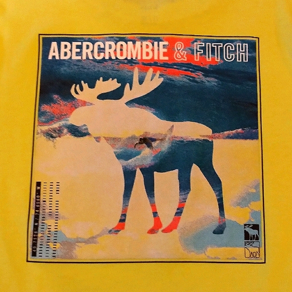 Abercrombie Kids Graphic Logo Long Sleeve Tee - Picture 4 of 4